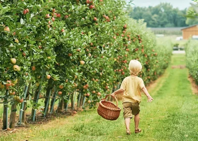 Buenas prácticas de sustentabilidad en la industria de alimentos