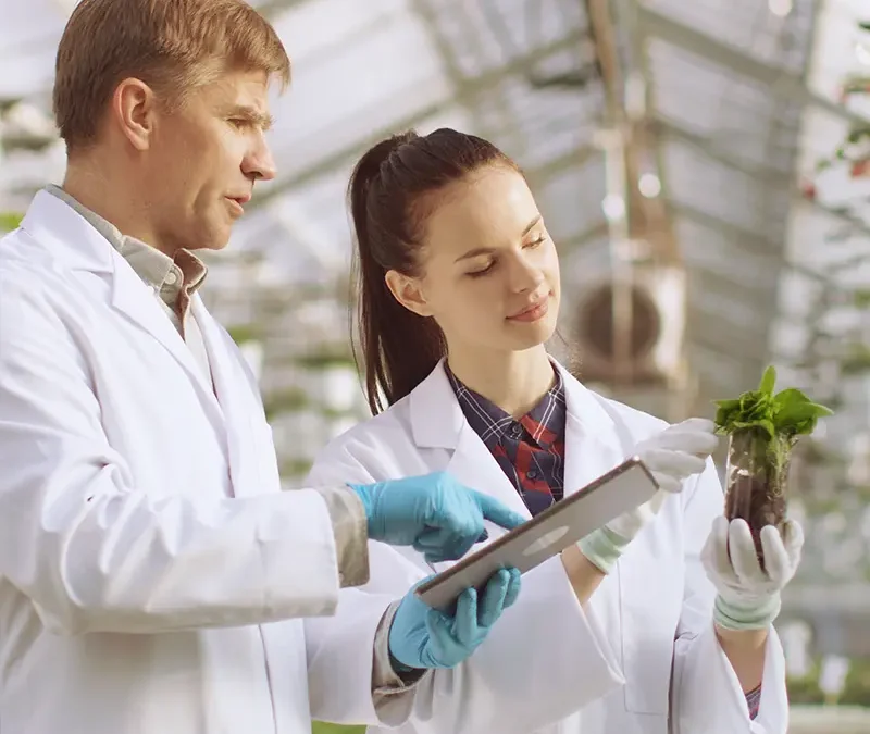 Técnicas de liderazgo para dirigir equipos de trabajo